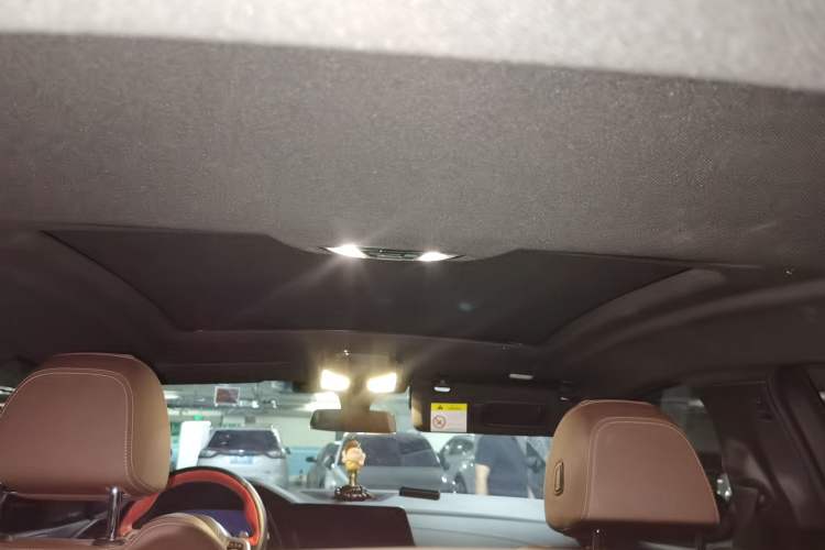 Used BMW X6 2020 xDrive40i M Sport Package Headliner