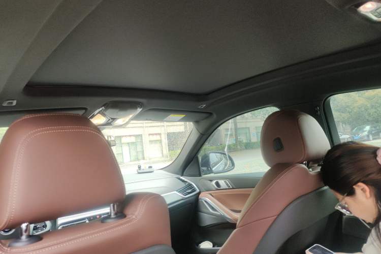 Used BMW X6 2020 xDrive30i M Sport Package Headliner