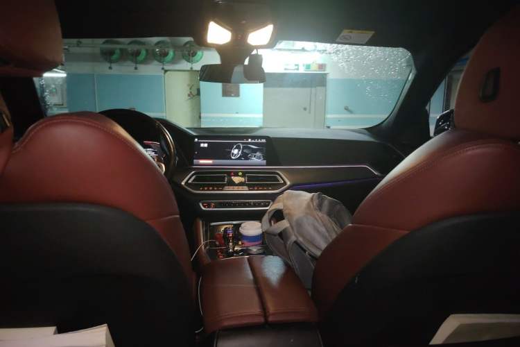 Used BMW X6 2020 xDrive30i M Sport Package Headliner