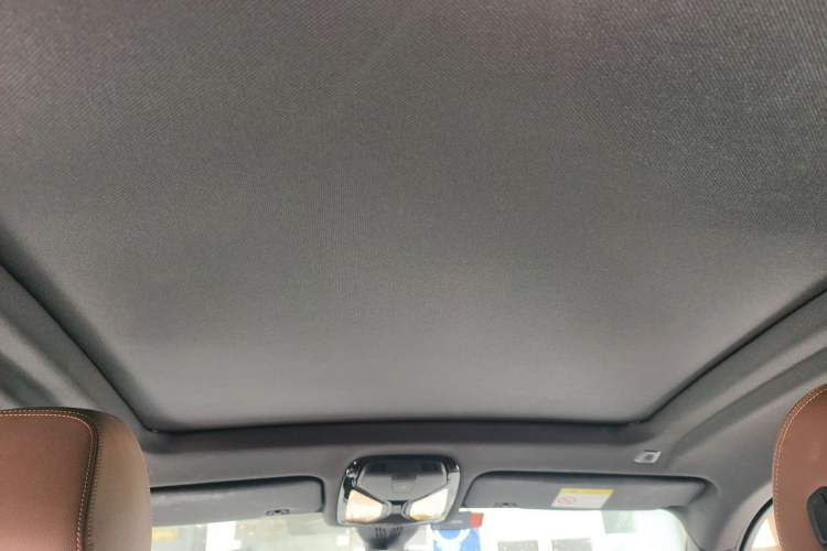 Used BMW X6 2020 xDrive30i M Sport Package Headliner