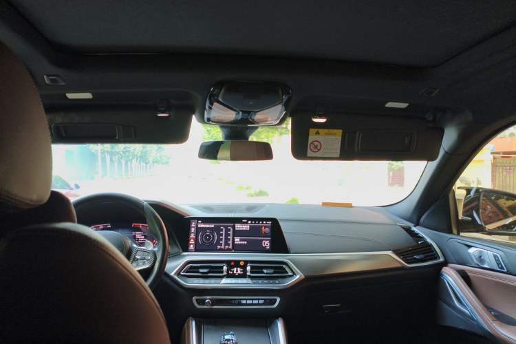 Used BMW X6 2020 xDrive30i M Sport Package Headliner