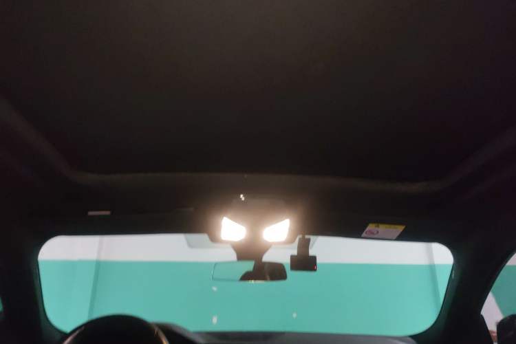 Used BMW X6 2020 xDrive30i M Sport Package Headliner