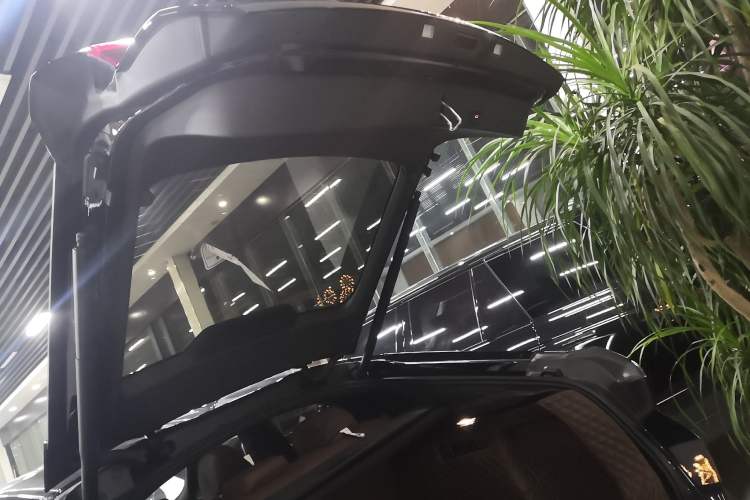 Used BMW X6 2020 xDrive40i M Sport Package Trunk