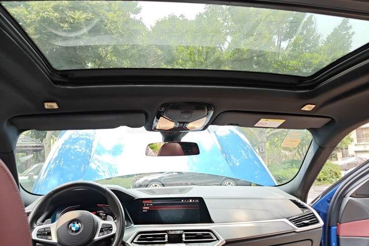 Used BMW X6 2020 xDrive30i M Sport Package Headliner