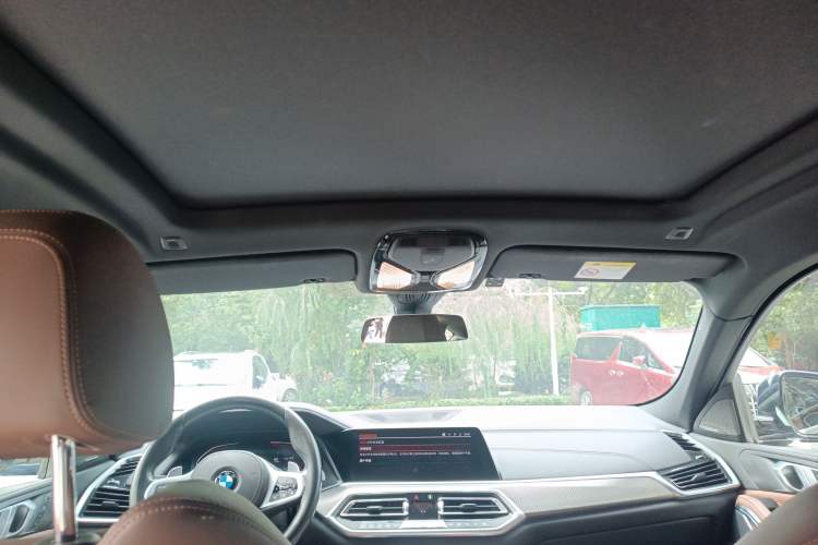 Used BMW X6 2020 xDrive40i M Sport Package Headliner