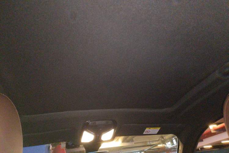 Used BMW X6 2020 xDrive40i M Sport Package Headliner