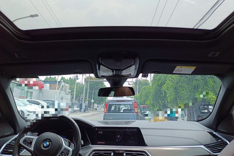 Used BMW X6 2020 xDrive40i M Sport Package Headliner