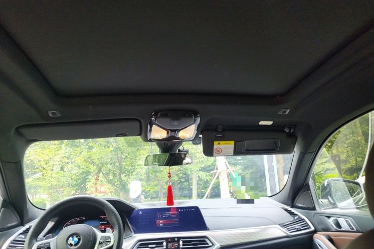 Used BMW X6 2020 xDrive40i M Sport Package Headliner