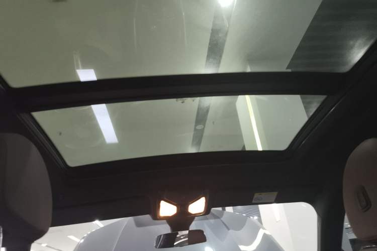 Used BMW X6 2020 xDrive30i M Sport Package Headliner