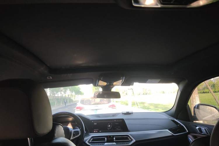 Used BMW X6 2020 xDrive30i M Sport Package Headliner