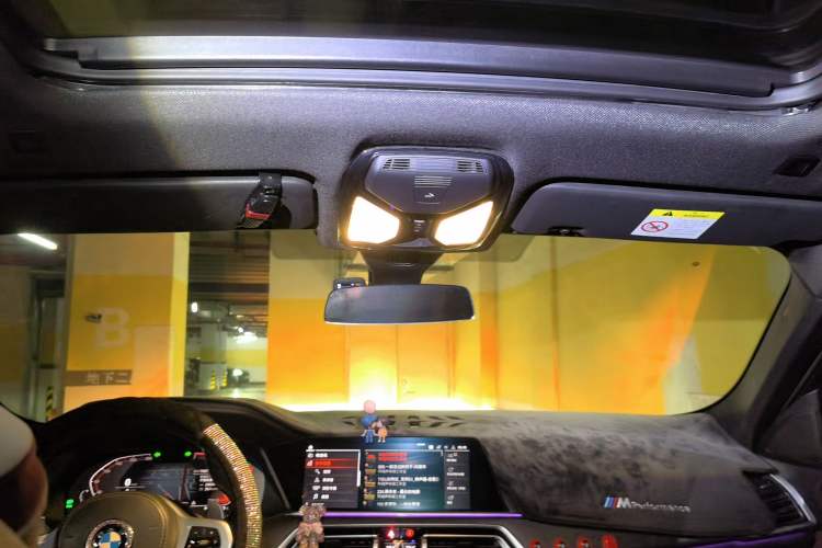 Used BMW X6 2020 xDrive30i M Sport Package Headliner
