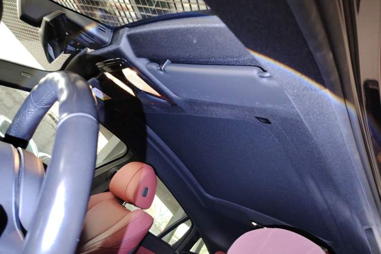 Used BMW X6 2021 xDrive30i M Sport Package Headliner