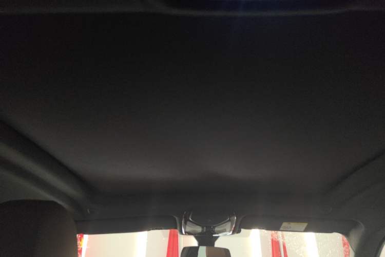 Used BMW X6 2021 xDrive30i M Sport Package Headliner