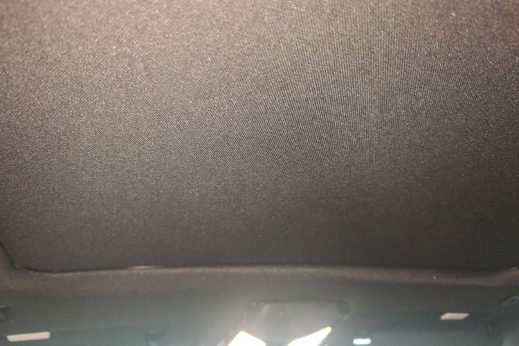 Used BMW X6 2021 xDrive30i M Sport Package Headliner