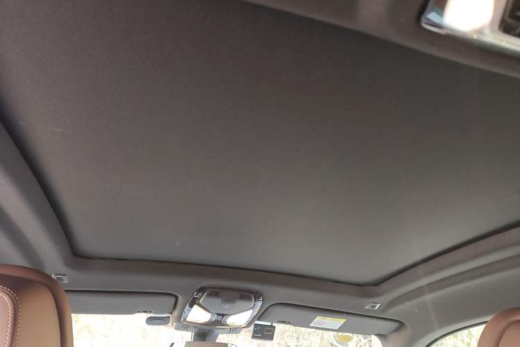 Used BMW X6 2021 xDrive40i Luxury Model with M Sport Package Headliner