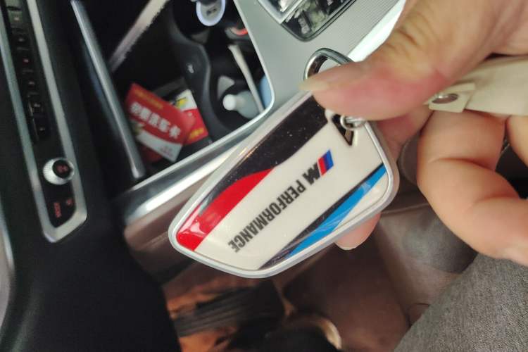 Used BMW X6 2021 xDrive30i M Sport Package Vehicle Key