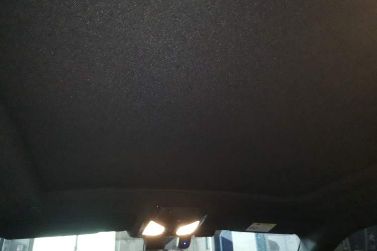 Used BMW X6 2021 xDrive40i M Sport Package Headliner