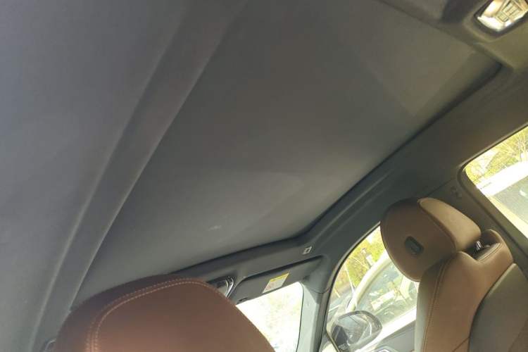 Used BMW X6 2021 xDrive40i M Sport Package Headliner
