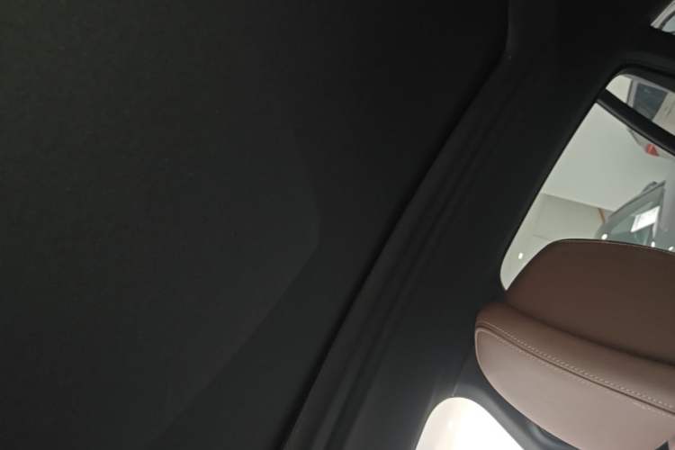 Used BMW X6 2021 Restyled xDrive40i Luxury Version M Sport Package Headliner