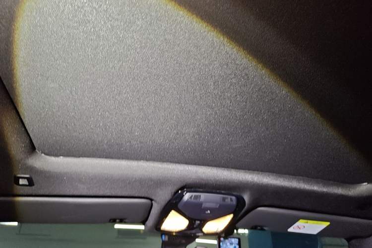 Used BMW X6 2021 xDrive30i M Sport Package Headliner