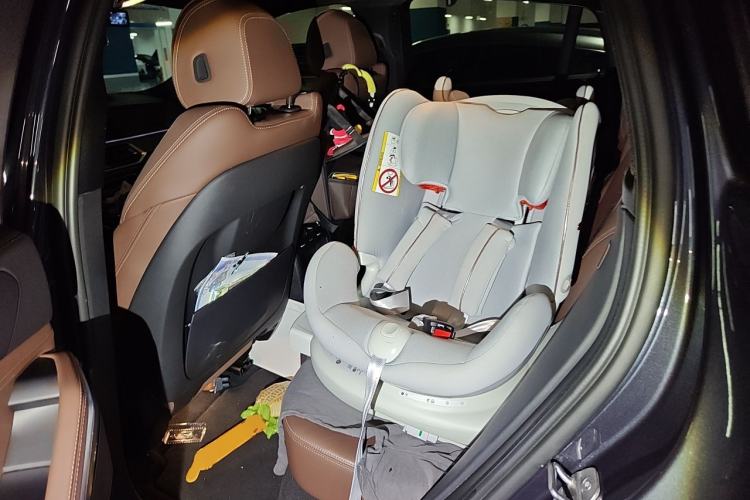 Used BMW X6 2021 xDrive30i M Sport Package Left Rear Seat