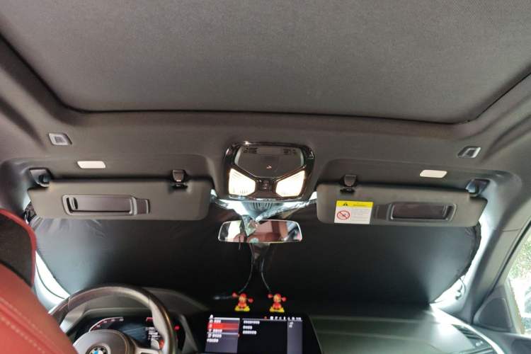Used BMW X6 2021 xDrive30i M Sport Package Headliner
