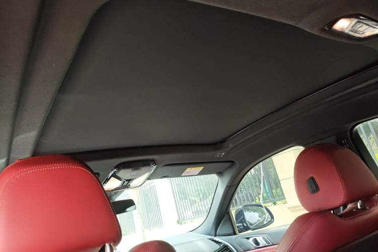 Used BMW X6 2022 Restyled xDrive30i M Sport Package Headliner