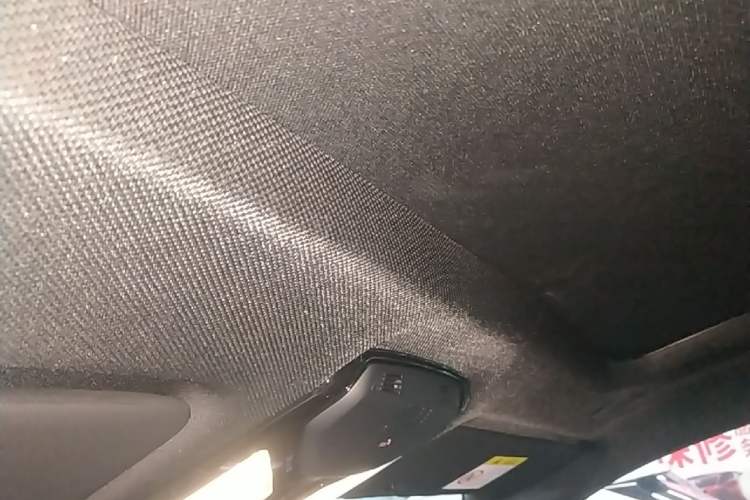 Used BMW X6 2022 xDrive40i Luxury Edition M Sport Package Headliner