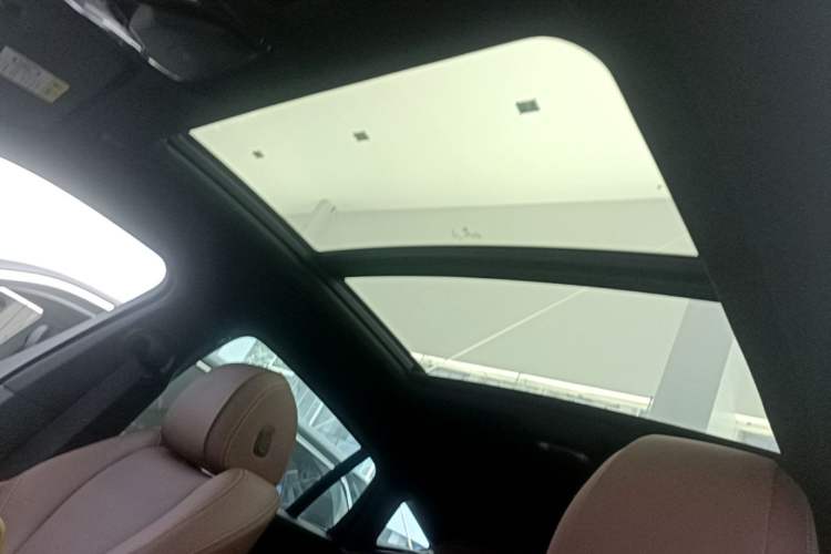 Used BMW X6 2022 Restyled xDrive30i M Sport Package Headliner