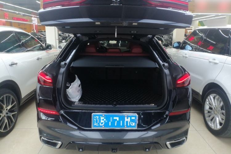 Used BMW X6 2022 xDrive40i Luxury Edition M Sport Package Trunk