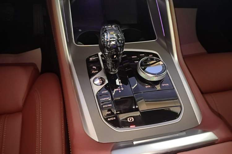 Used BMW X6 2022 xDrive30i M Sport Package Gear Lever