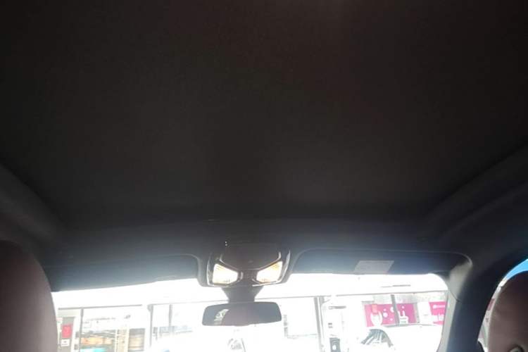 Used BMW X6 2022 xDrive30i M Sport Package Headliner