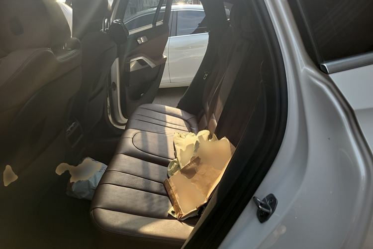Used BMW X6 2022 xDrive30i M Sport Package Left Rear Seat