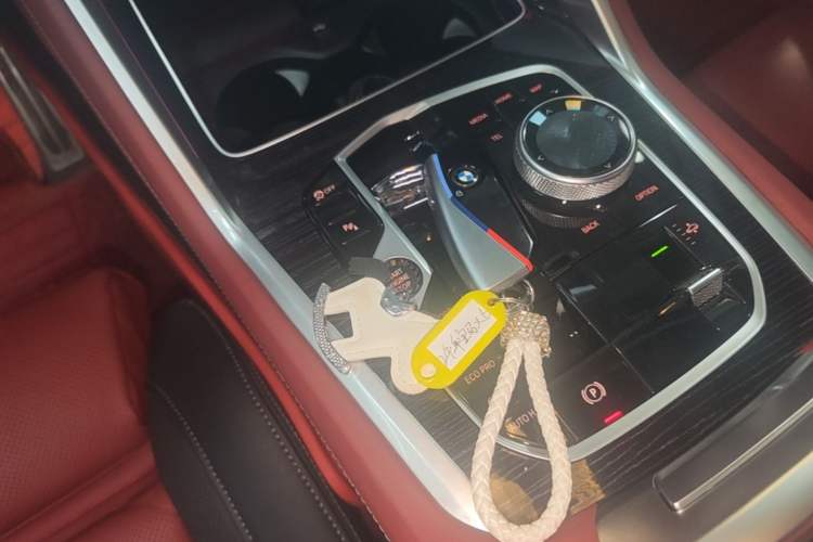 Used BMW X6 2023 xDrive30i M Sport Package Gear Lever