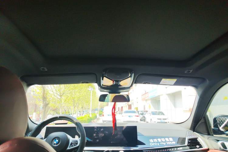 Used BMW X6 2023 xDrive30i M Sport Package Headliner