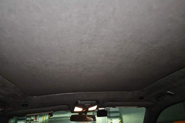 Used BMW X7  Headliner