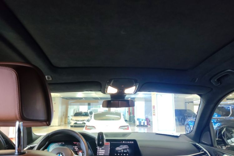 Used BMW X7 2019 xDrive40i Luxury M Sport Package Headliner