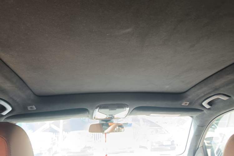 Used BMW X7  Headliner