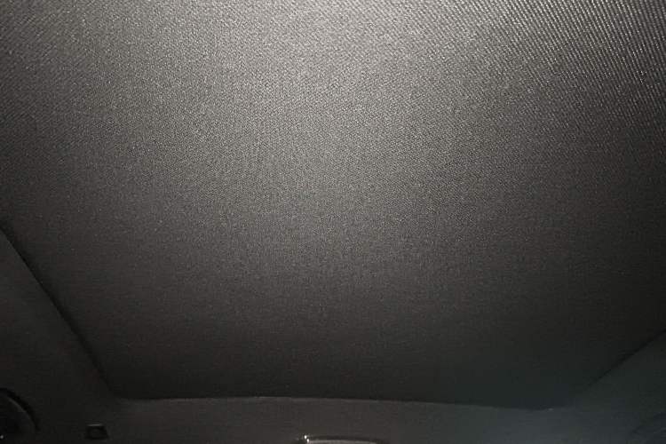 Used BMW X7 2020 xDrive40i Luxury M Sport Package Headliner