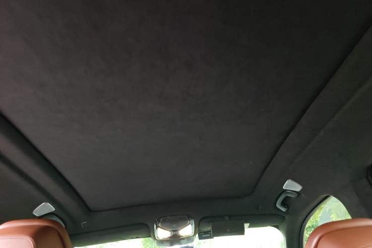 Used BMW X7 2020 xDrive40i Executive M Sport Package Headliner