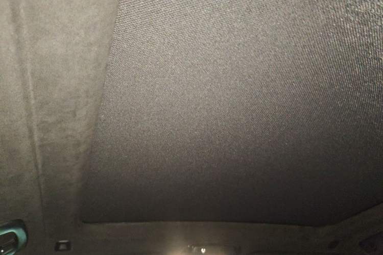 Used BMW X7 2021 xDrive40i Luxury M Sport Package Headliner
