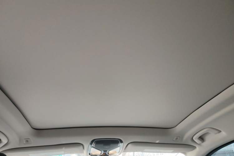 Used BMW X7  Headliner