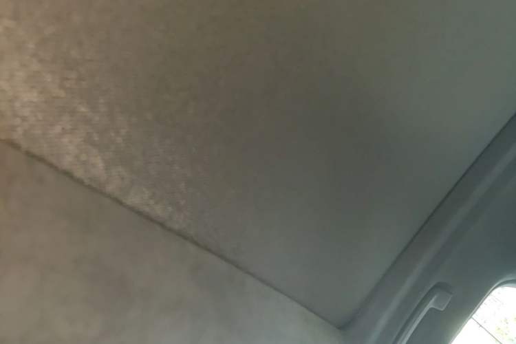 Used BMW X7 2022 xDrive40i Luxury M Sport Package Headliner