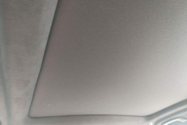 Used BMW X7 2023 xDrive40i Luxury M Sport Package Headliner
