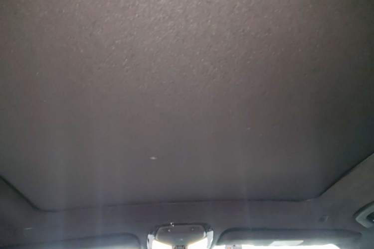 Used BMW X7 2023 xDrive40i Luxury M Sport Package Headliner