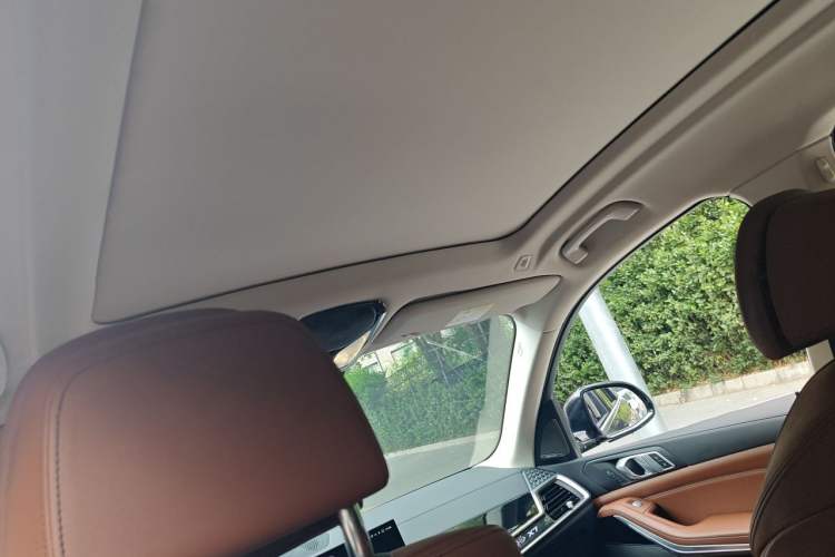 Used BMW X7  Headliner