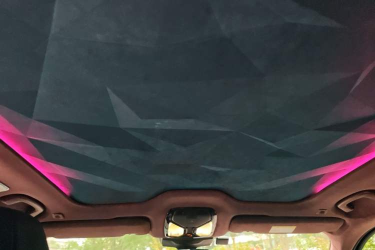 Used BMW XM 2023 Basic Model Headliner