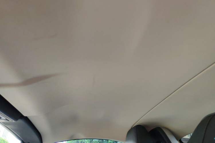 Used BMW Z4 2009 sDrive23i Leading Model Headliner