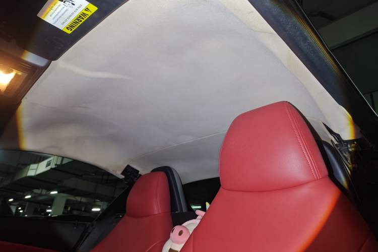 Used BMW Z4 2009 sDrive23i Leading Model Headliner