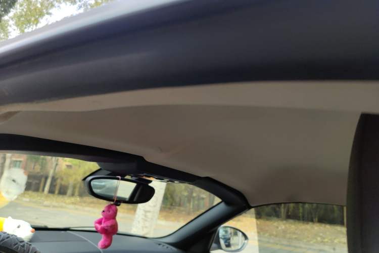 Used BMW Z4 2009 sDrive23i Leading Model Headliner